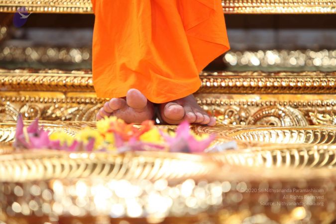 20101106 Photo 1038 1QYssMdgwr5bYE16ss-lhDyYYCSm7nEpC.JPG