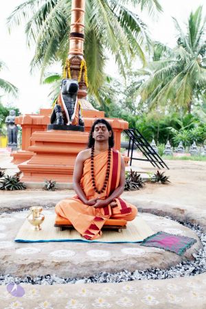 20101107 IMG 0329 CMP WM111.jpg