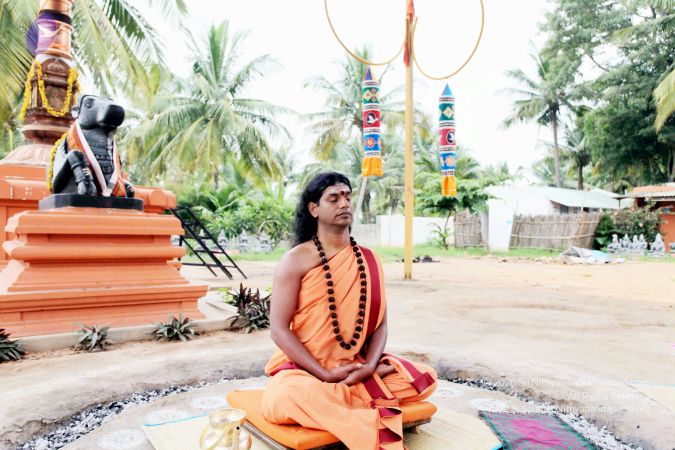 20101107 IMG 0341 CMP WM111.jpg