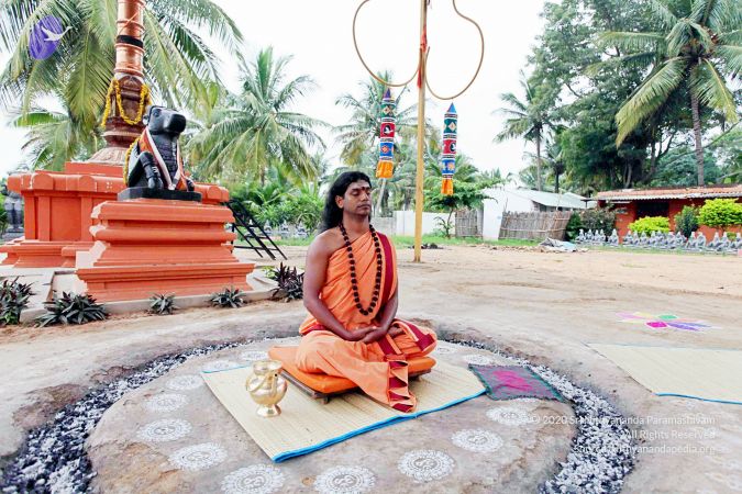 20101107 IMG 0344 CMP WM111.jpg