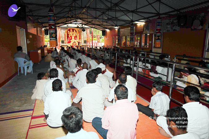 20101107 IMG 0405 CMP WM111.jpg