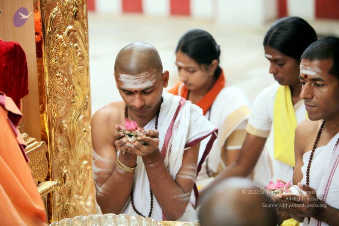 20101107 IMG 0426 CMP WM111.jpg