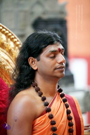 20101107 IMG 0471 CMP WM111.jpg