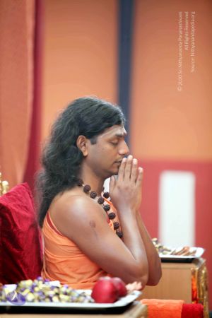 20101107 IMG 0485 CMP WM111.jpg