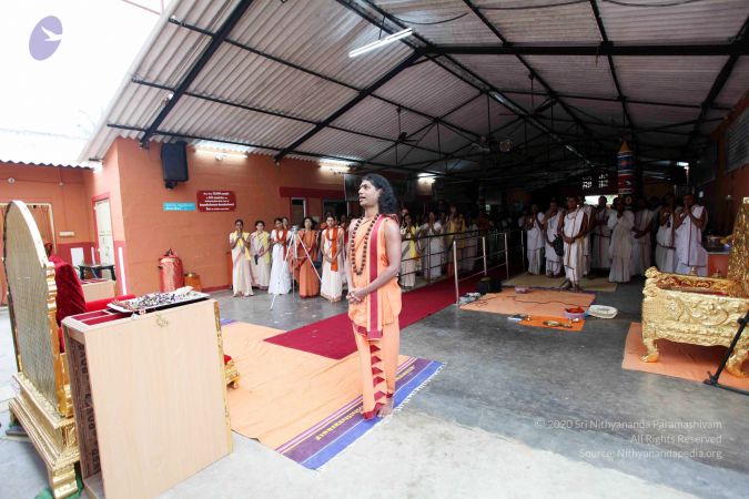 20101107 IMG 0677 CMP WM111.jpg