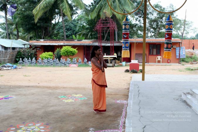 20101107 IMG 0701 CMP WM111.jpg