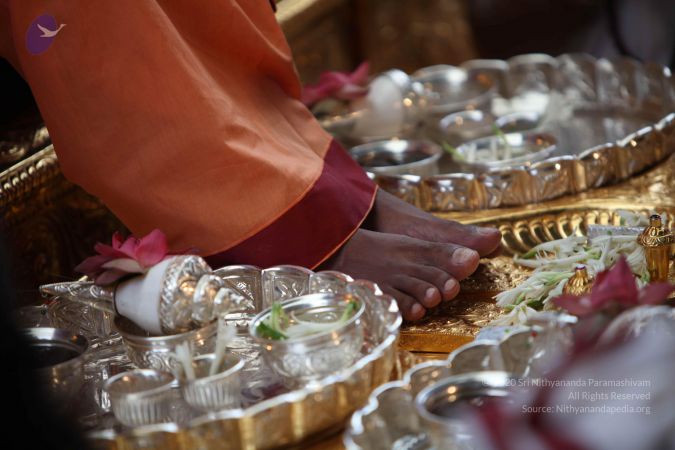 20101107 Photo 1062 175PqLOkSEPcdWFz4vaItUCdZB4Yc5NUk.JPG