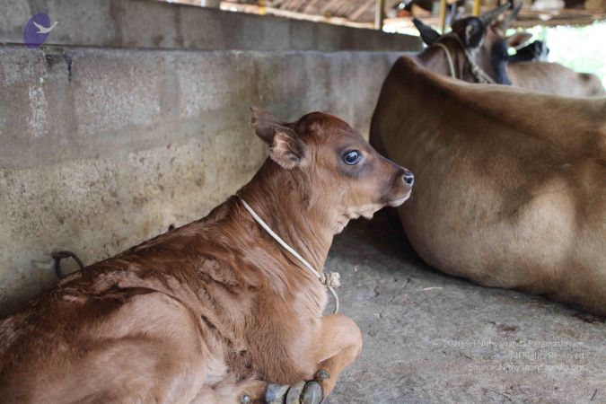 20101107 Photo 1200 1sOVuROGSMW060ohVy8Rzo7X7IusFMyAS.JPG