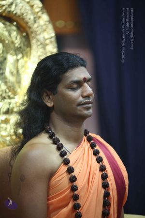 20101110 Photo 1165 1NQSWjWPzCGRB5gymvfMTwlmMRuv9LzGQ.JPG