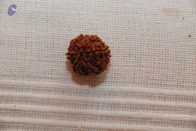 20101110 Photo 1273 1-PjcjFc5me7o01FQZwhJPsXW1U6u9623.JPG