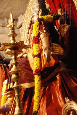 20101110 Photo 1427 1nT51QtzdSDyzK-jcn9Dvy5ZR kP1wYXt.JPG