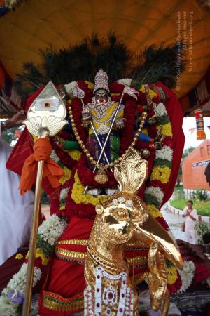 20101111 Photo 1071 1U5MXS-dq o4a5yzykMUrP0CBK9PMTaRL.JPG