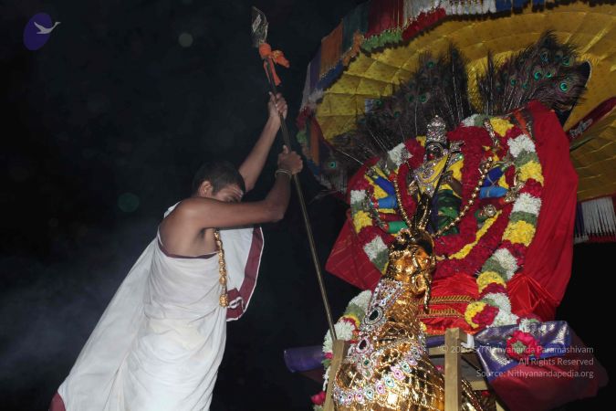 20101111 Photo 1376 1e65ZAAyMXTgEpBEH TZkrfMQi4rHXRY-.JPG