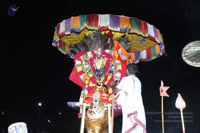 20101111 Photo 1381 1ym9IrpLVXL7wEcSfOZT8O6bdR9neDevx.JPG