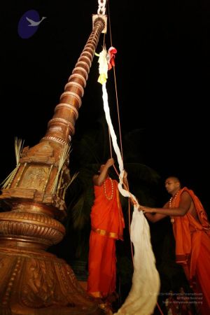 20101112 Photo 1001 1zkRxdi4QwIW7QDLuvbXsqA2wr- sqWG5.JPG