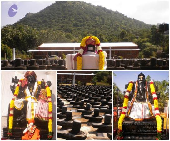 20101112 Photo 1003 1GmbFxiwUvnfxelDVFzx799mNvgcNKHZe.JPG