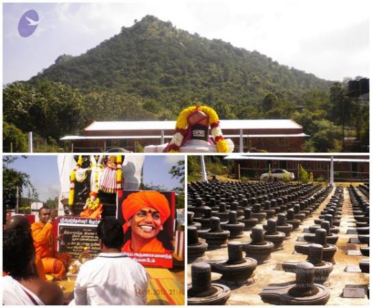 20101112 Photo 1010 1mMPltSg6i4Z1GnMXoV6NkVfRkMAiIiLS.JPG