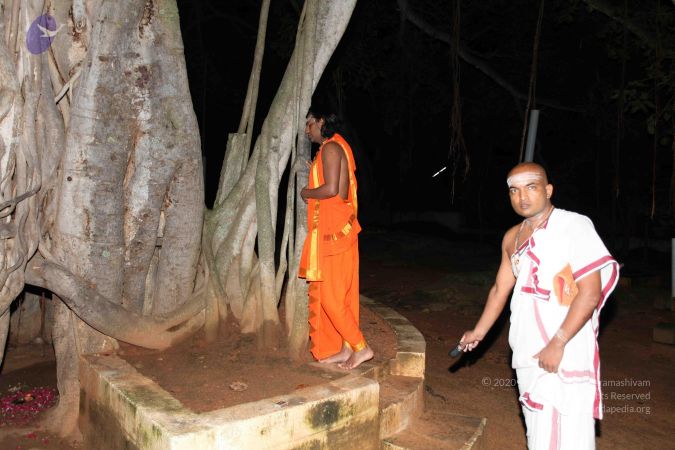 20101112 Photo 1012 1UntIjaljHN teuUWZ2OslPmjLsA2Cd2C.JPG