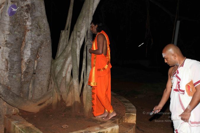 20101112 Photo 1013 1vw8sBS1nnYJ03cvMfSnfWxJZtUzDOgdb.JPG