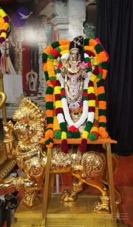 20101112 Photo 1024 1FIIkq30SHfX48Rw4bPUdlZrEf4d93hVy.JPG