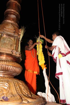 20101112 Photo 1043 16JEUDCmhmo8An4YJ8jih7Y8VnYX97h9C.JPG