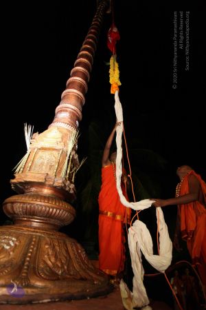 20101112 Photo 1046 1gH016RW9Cn9Q5YaPz677ma7kyd-IsvmD.JPG