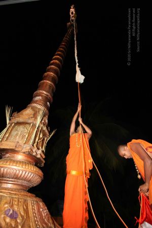 20101112 Photo 1053 1D yM474RCIZLHiBW7GXme1uBziRx2l2M.JPG