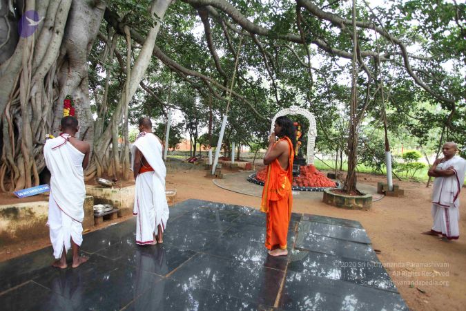 20101112 Photo 1117 1nHsFBHbHzsmNeET1 kR1flL1gIeSzdvX.JPG