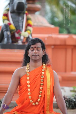 20101112 Photo 1136 1Htyit0hKC0-drJa2WVIam0hx3BrC4p2K.JPG