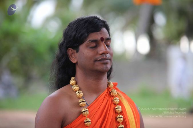 20101112 Photo 1150 1uHcLbn1KZqDyrH4zlv7ypU3AEUHmqg1n.JPG