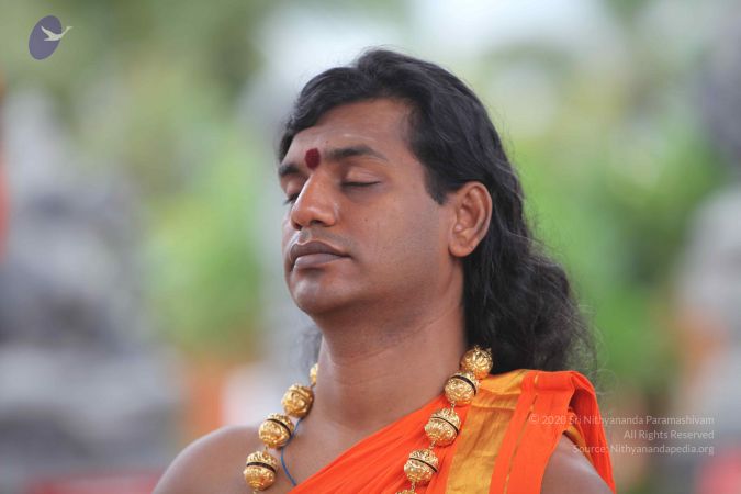 20101112 Photo 1196 1LmGBWb1e-48JyZE7KrfW0wkuikkVC-8M.JPG