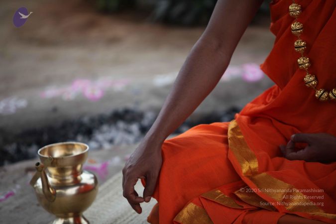 20101112 Photo 1209 1N4PKSNwrLs-IfhVQ8iR D5P9vp d 0Cj.JPG