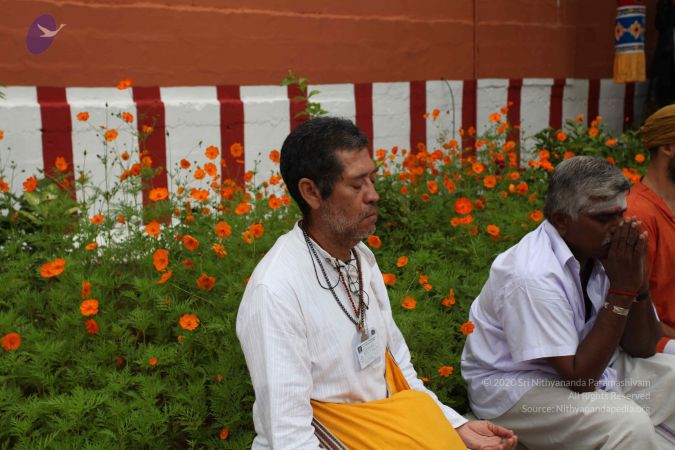 20101112 Photo 1225 1oHgHtXnkOwdXrelAChhtuAKd-4S6e1sr.JPG