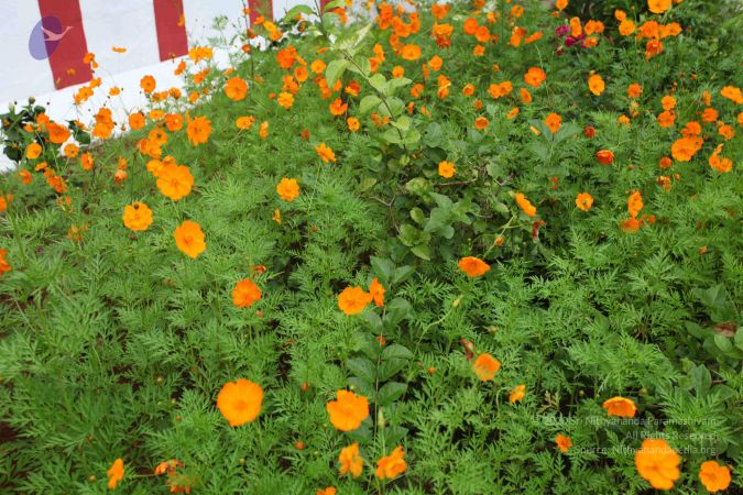 20101112 Photo 1226 1bJncYBV9Snu75V 39yXHdo2m8wrtj0pA.JPG