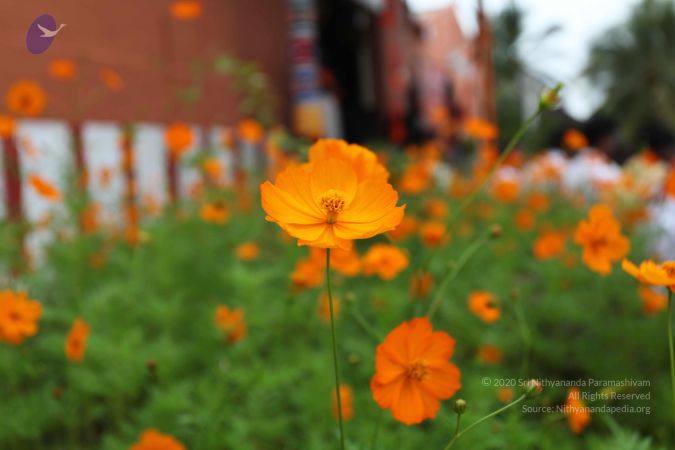 20101112 Photo 1230 1sRo8h9 wds6RyrFDe5rn ZP4EoKbNwjp.JPG