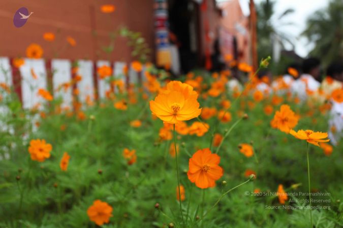 20101112 Photo 1232 1rTf0rz9bLXWLQBU-VCvLpFkDM1BcoG5d.JPG