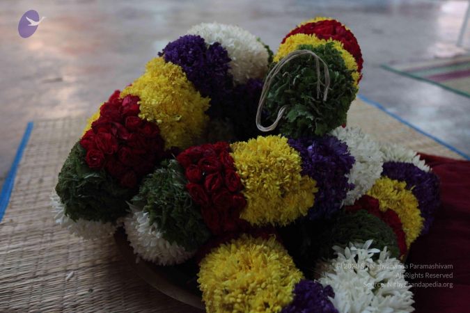 20101112 Photo 1285 1Z9uEV98y2uSKCQx9bQDvqLNx4H6if-pU.JPG