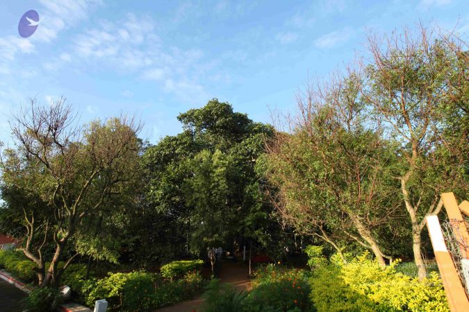 20101112 Photo 1289 1gVg3PvsVXFSNxHnuqXVnhveJLp5yae2l.JPG