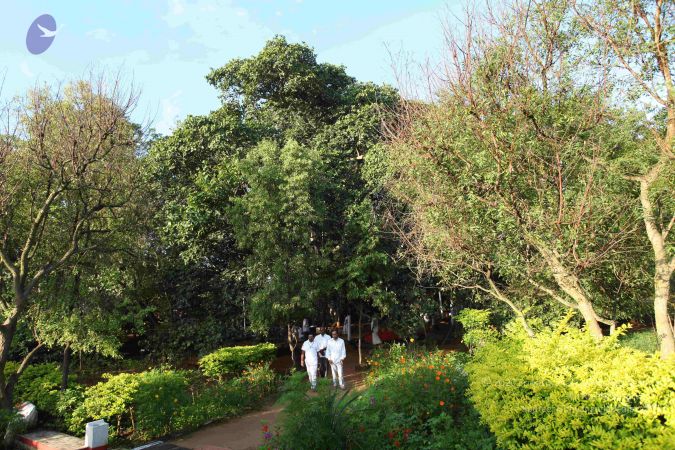 20101112 Photo 1292 1TnC8pb5ygySubIc1Kb0sJE0XCwfcQEsF.JPG