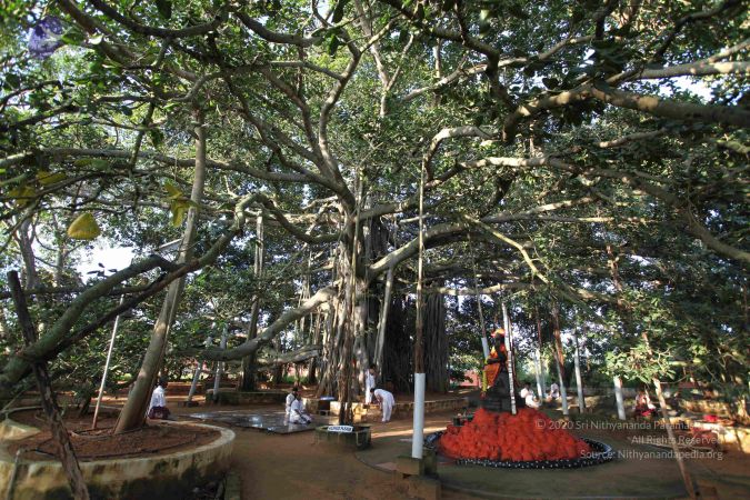 20101112 Photo 1295 1vqOHZXVhJCPQQfliRIOhkGWk1IT5ko3Y.JPG