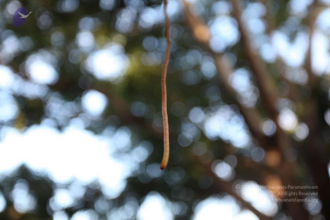 20101112 Photo 1298 1N-ChUldYs0hWDRhvfJvBmQfWhL3tB2aC.JPG