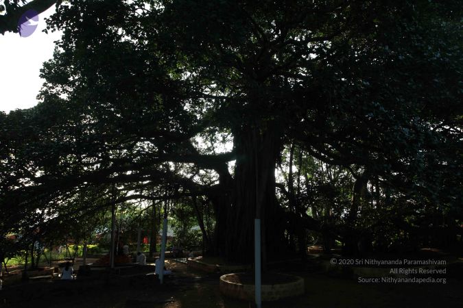 20101112 Photo 1300 10T7Ds2aFzGENKkvHM3ohyIOA9A7trEos.JPG