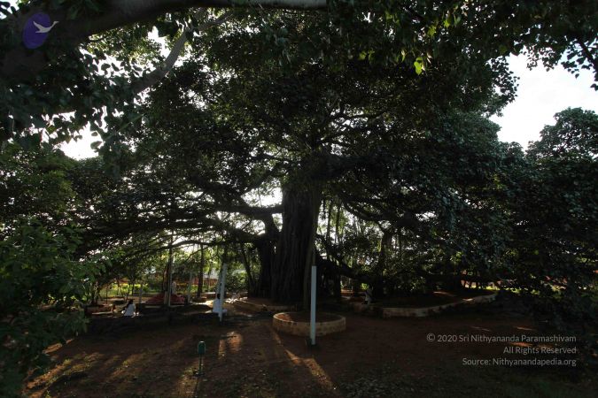 20101112 Photo 1304 1y8I7eWsbh3O0JBIweuPosGEfJloiHezT.JPG