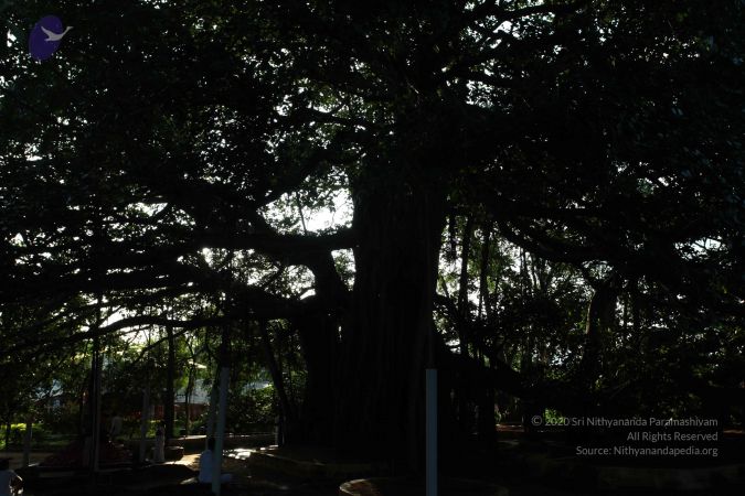 20101112 Photo 1307 1KGJGcn6hvJY3LwSFX1sgtAf1wMZe3k4l.JPG