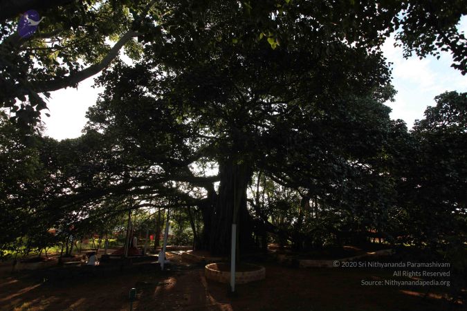 20101112 Photo 1311 1mLreMvEe4x2aX2F2SE-nfJ9g619f4UqV.JPG