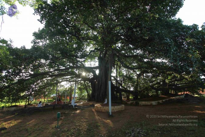 20101112 Photo 1317 1mef-mNYIfkGZ5-AY0 UBqZ9Of68-l8Ag.JPG