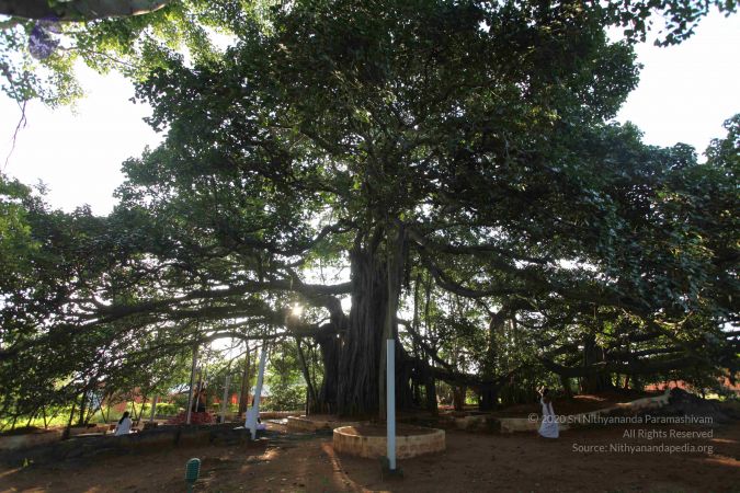 20101112 Photo 1318 17JLeyUzQ v822z8mXAH6tFaA3fX6Tlwl.JPG