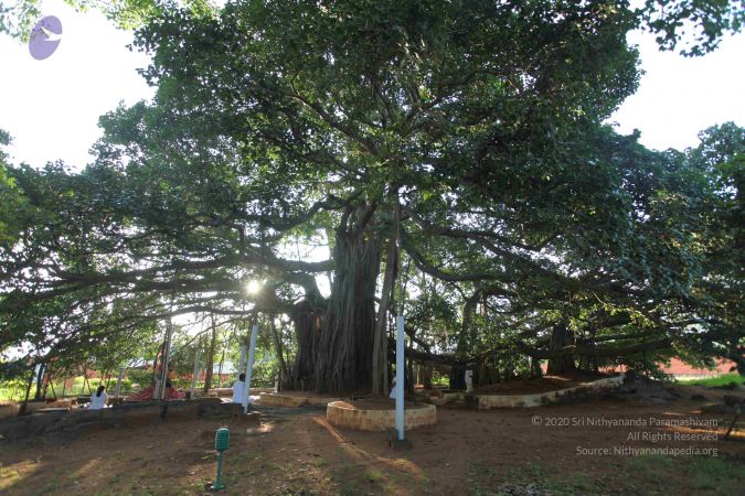 20101112 Photo 1321 1qtUREjANYFx-mtDjcKJbj V1cUUxSLMh.JPG