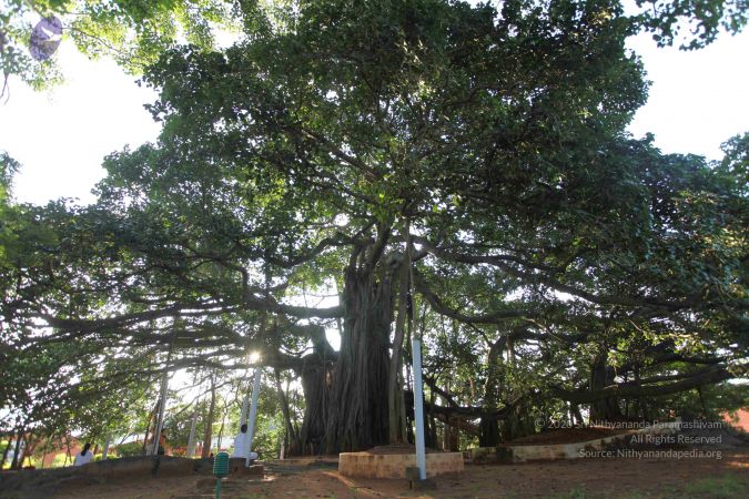 20101112 Photo 1323 1Yd C1MUPaLfOorhFZ17aYijdSfuRLd I.JPG