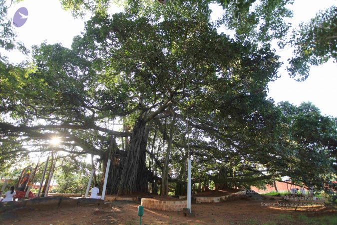 20101112 Photo 1324 11EsYCkgKKWa6OMtCBgPH sjFLbrbf1p9.JPG